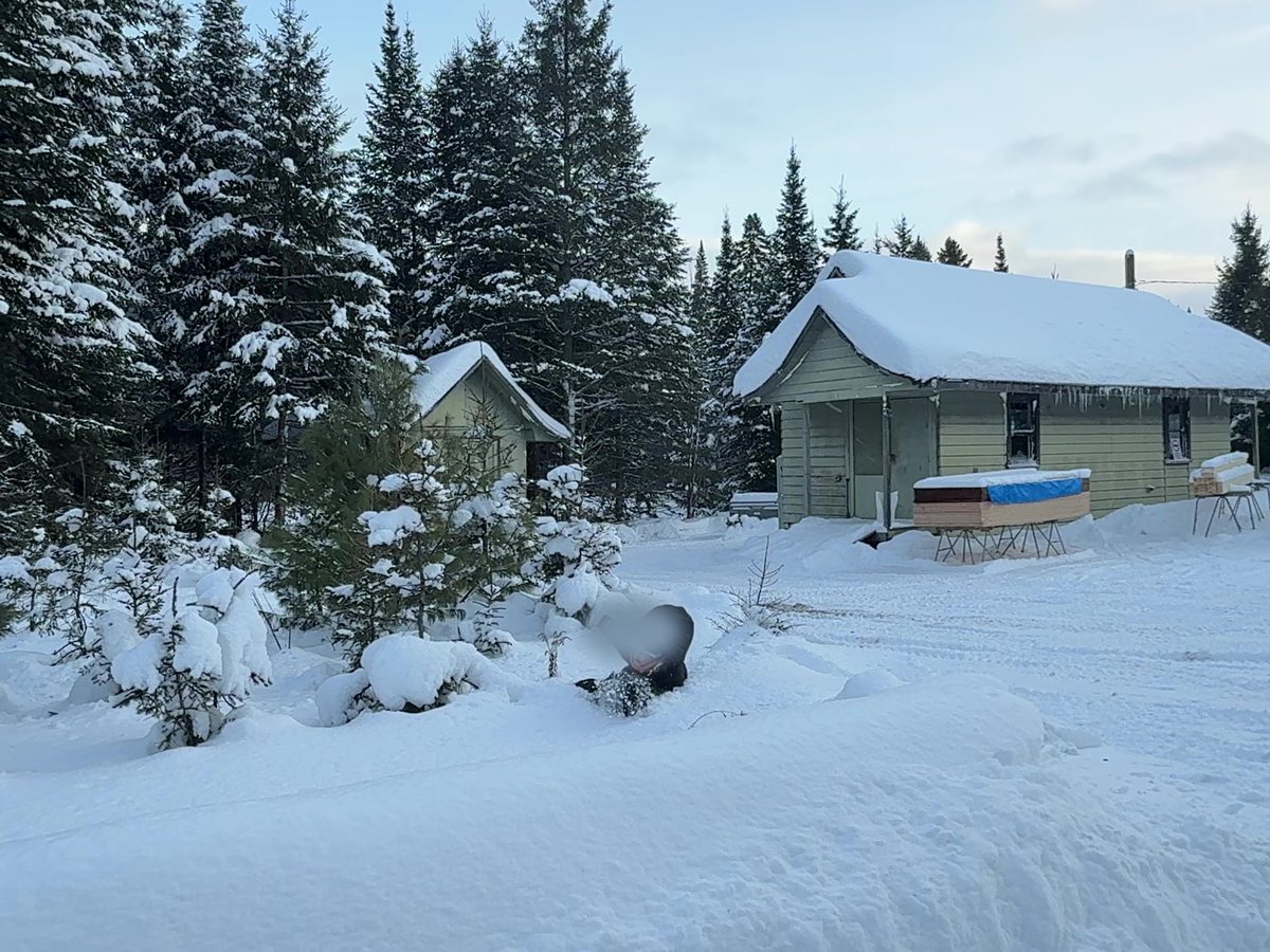 Um campo de neve diante de uma cabana verde