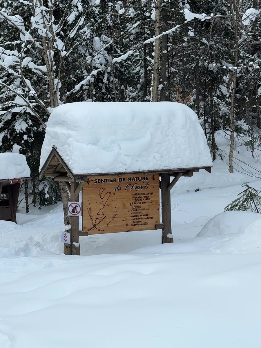 Uma placa da trilha com um chapéu de neve. A própria placa era um espetáculo.