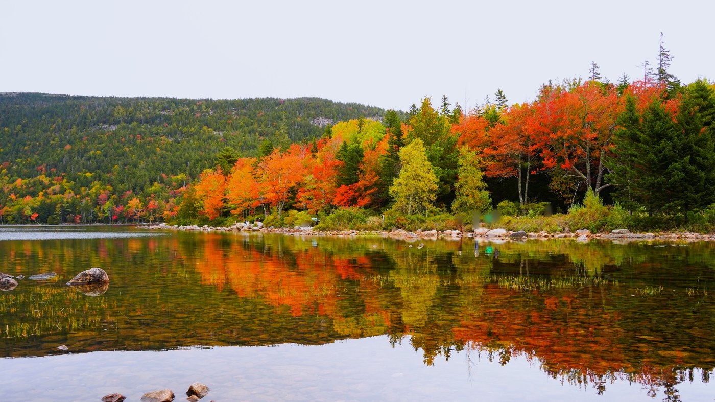 Parc national Acadia en automne, feuillage rouge et jaune reflété dans Jordan Pond