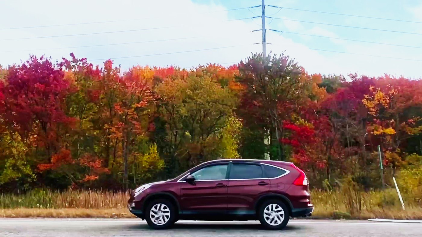 Feuillage rouge vif au bord de l’autoroute, Massachusetts