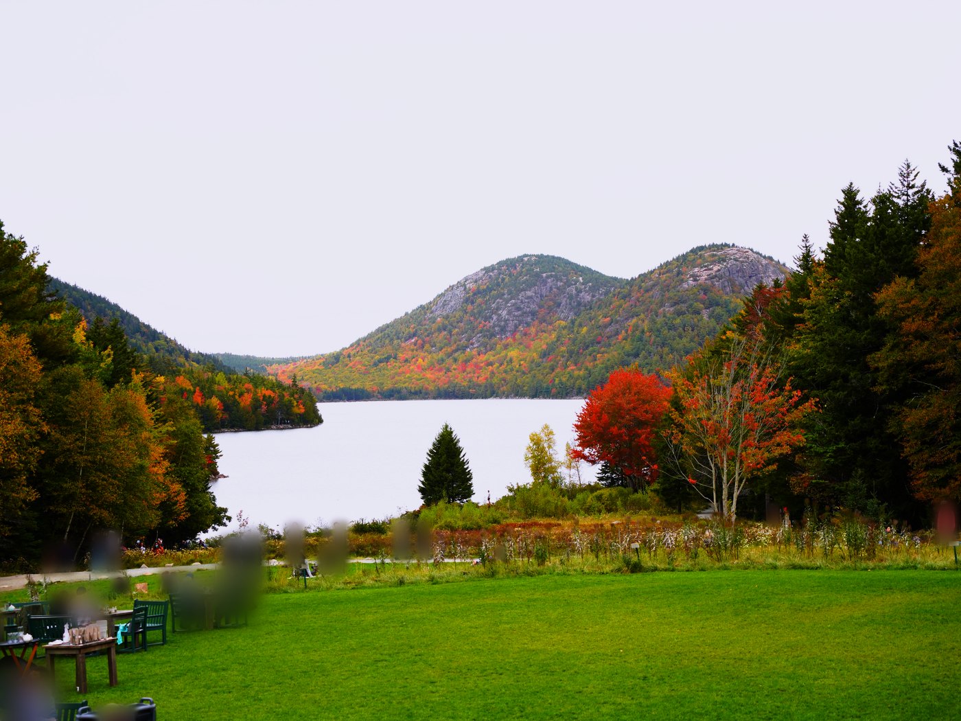 Les Bubbles au-delà de la pelouse de la Jordan Pond House