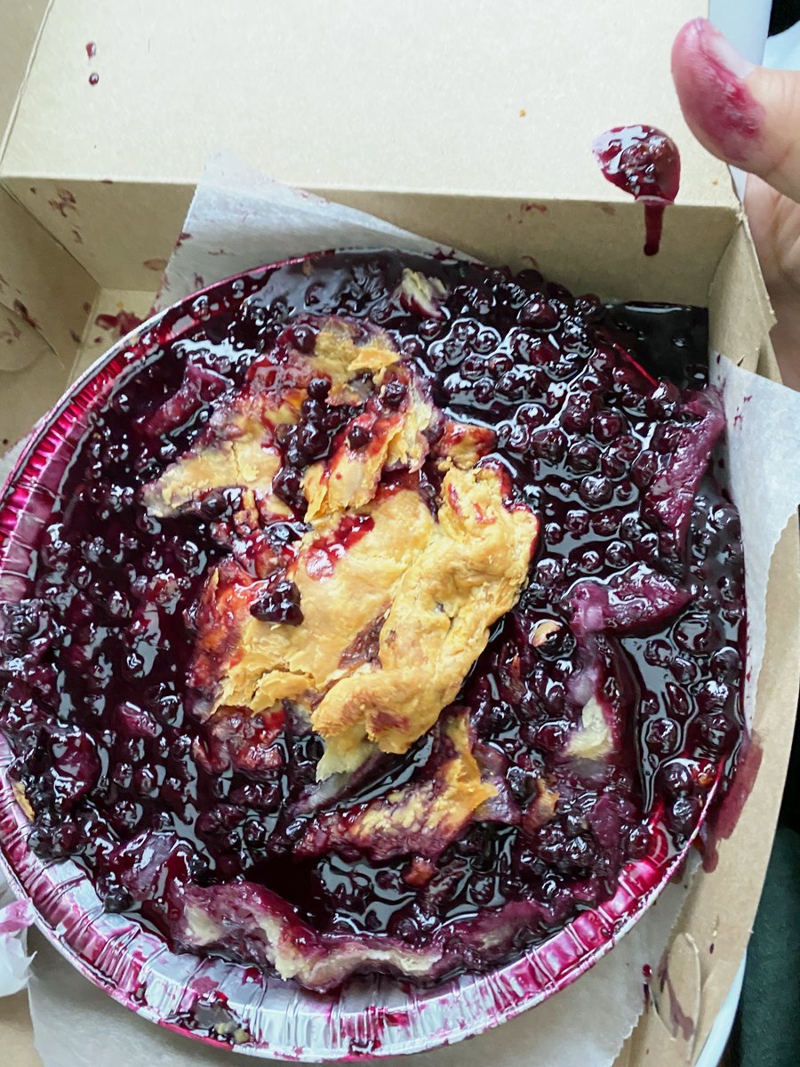 Tarte aux myrtilles mangée dans la voiture
