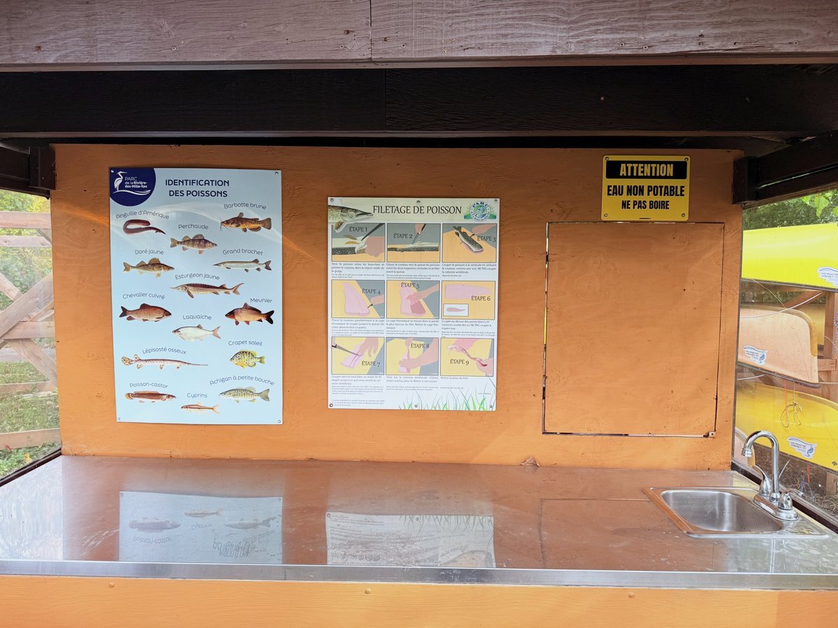 桟橋の横の魚の案内板と、魚をさばく台。ミズウミチョウザメ(Esturgeon jaune)も描かれています