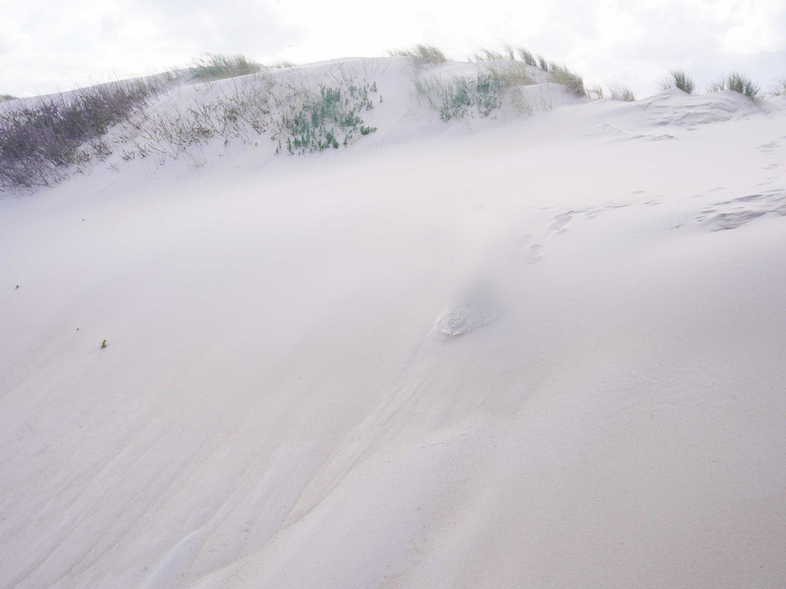Les dunes de Costa Nova
